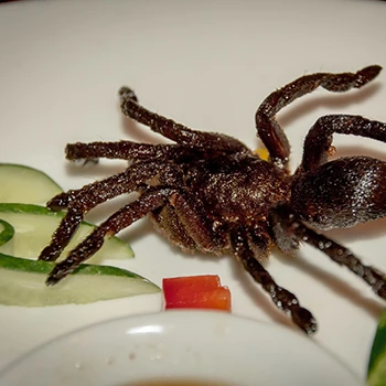 An image of fried tarantula on a plate