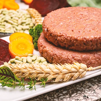 An image of plant-based meat and other ingredients on the side