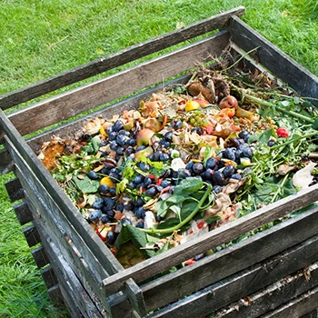 An image of a backyard compost pile