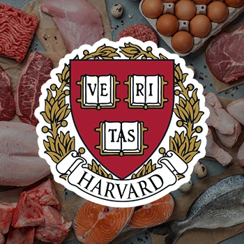 An image of the Harvard University that published carnivore diet studies