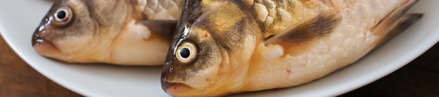 A close up image of raw fish on a white plate