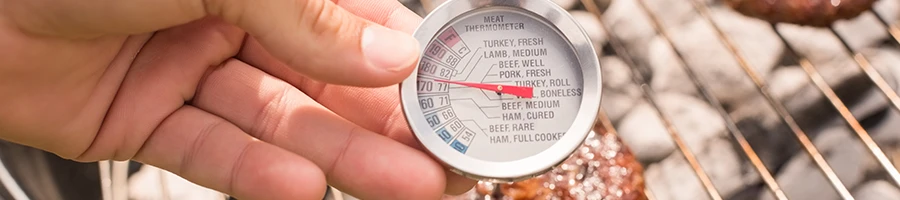 A close up image of a hand holding a meat thermometer