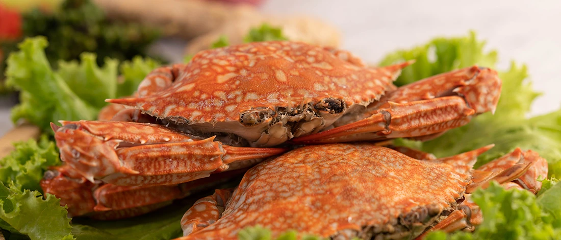 A close up image of cooked crab with lettuce on the side