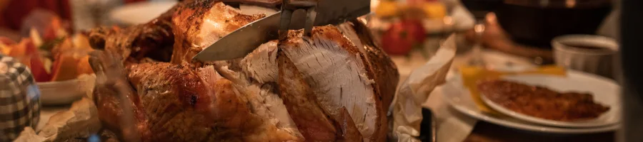 Turkey Thawing Methods on a plate