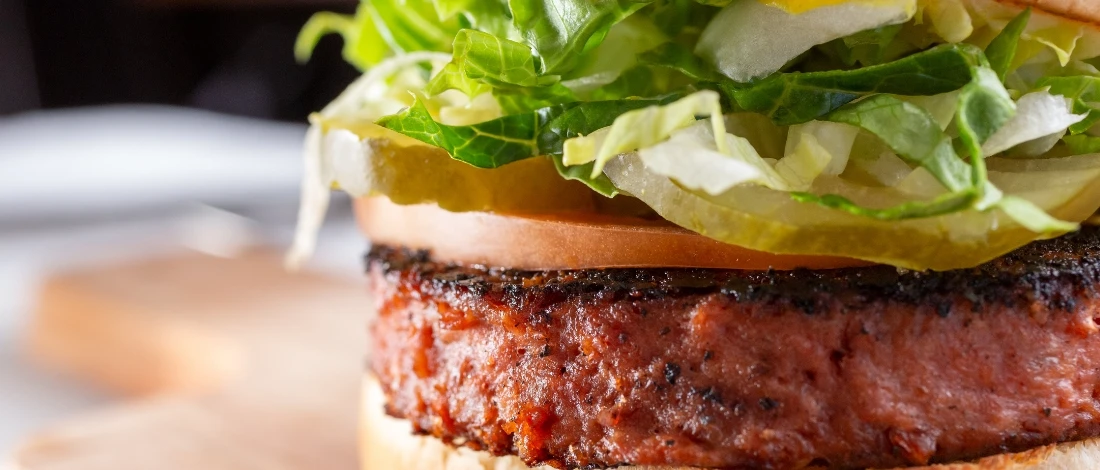 A plant based burger
