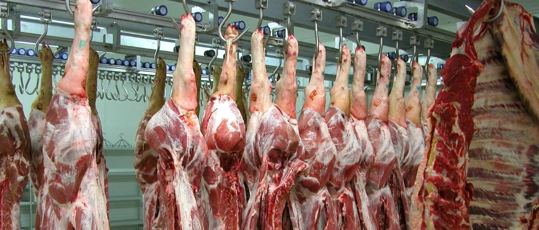 A raw meat hanging in the facility