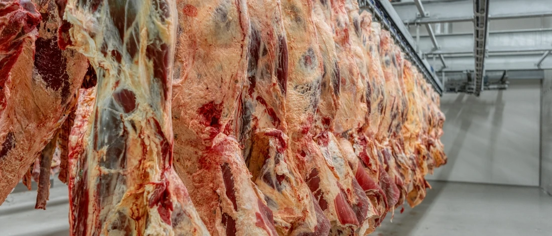 A hanging raw beef for production