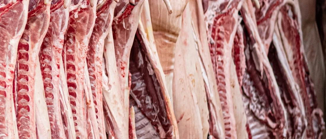 A close up shot of raw meat
