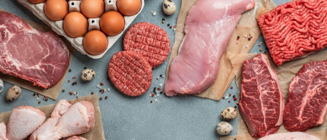 A top view of an example of carnivore diet
