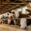Beef-on-Dairy Calves Gain Ground as Stocker Supply Tightens