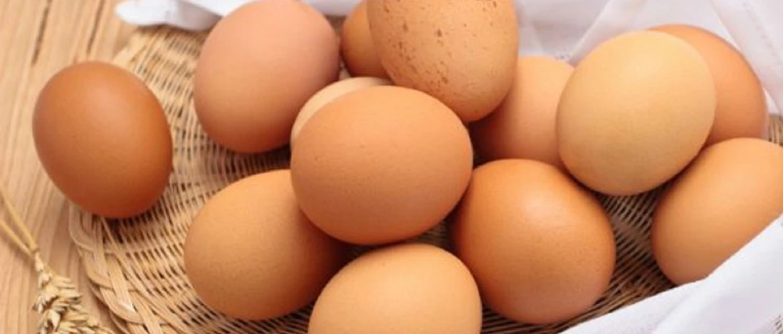 USDA Denies Iowa’s Request to Block SNAP Use for Lab-Grown Meat and Egg Substitutes Featured Image
