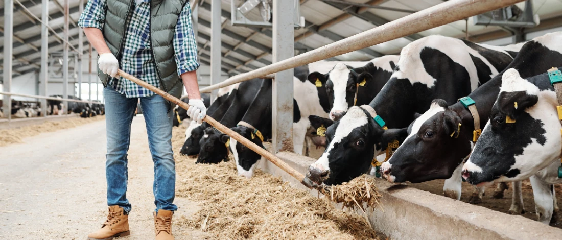 USDA Invests Over $140 Million to Strengthen Fertilizer and Meat Processing Sectors Featured Image