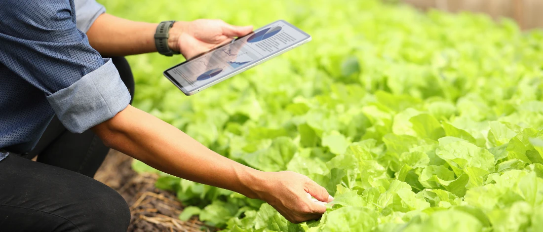Tribal Meat Inspection Bootcamp Inspires Agricultural Education Featured Image