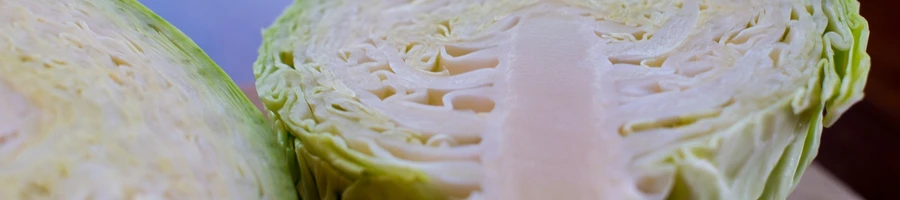 A close up shot of sliced cabbage