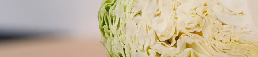 A cabbage sliced in half